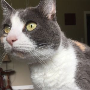 Meet your Posher, Natalie